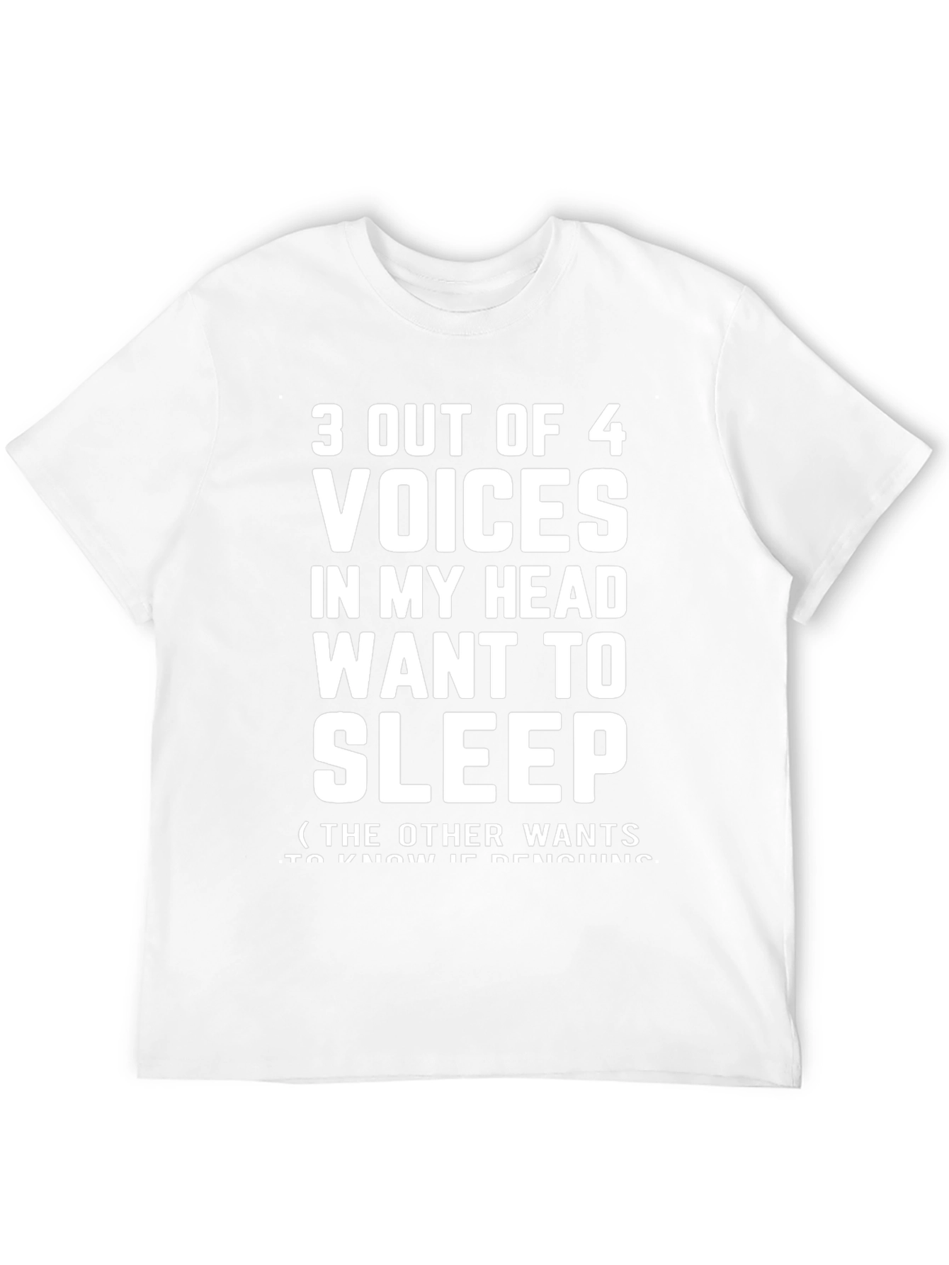 3 Out of 4 Voices in My Head T-Shirt