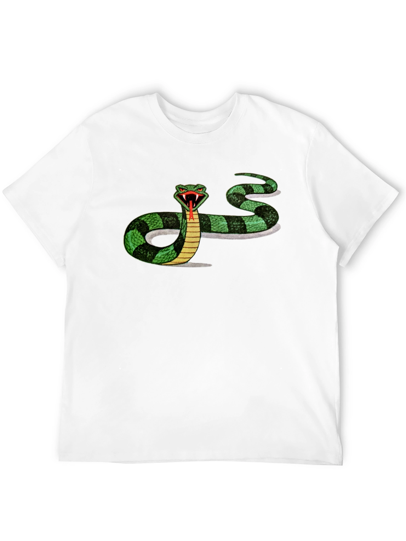 Mens Black T-shirt with Snake Graphic