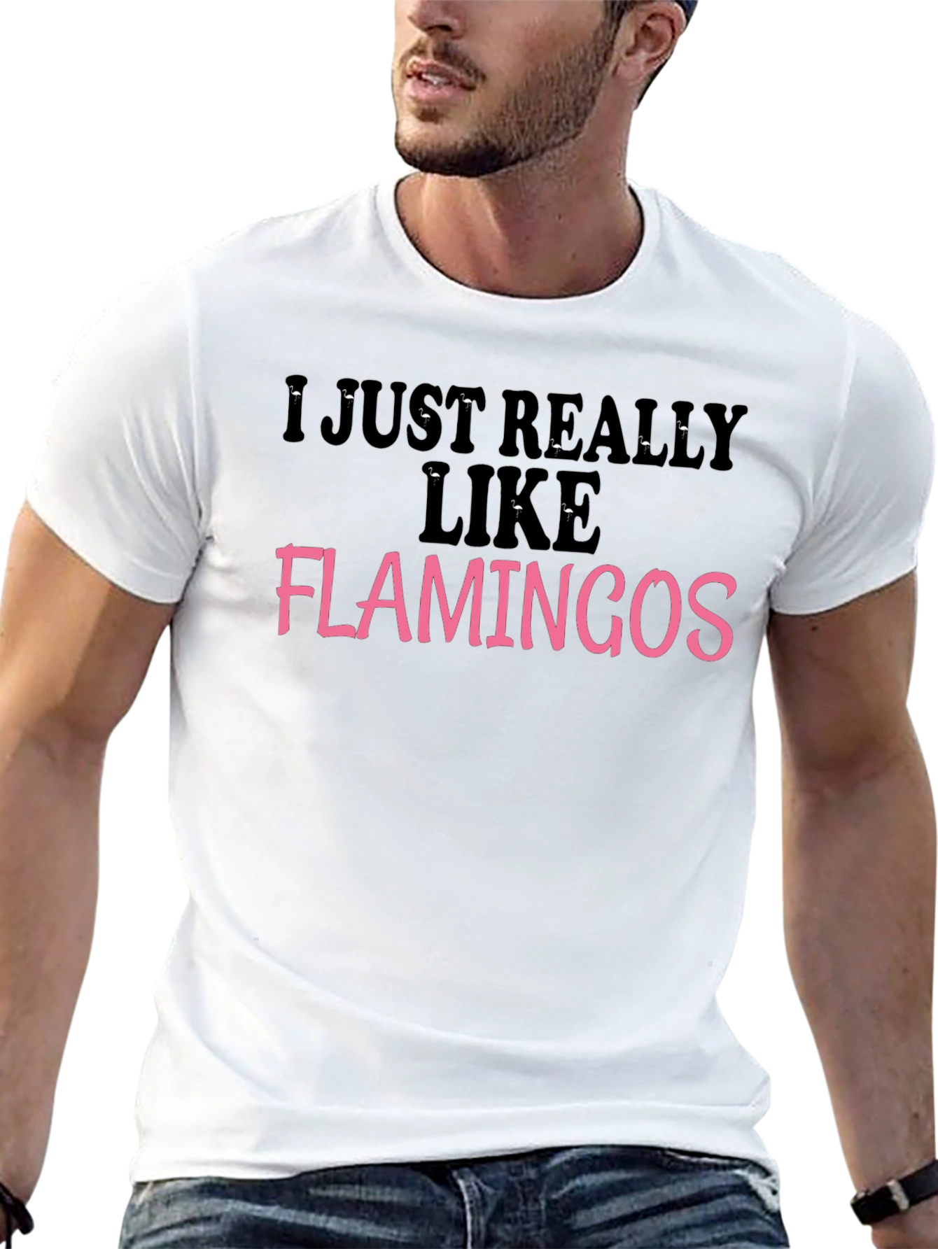 I Like Flamingos Black Graphic Tee Shirt
