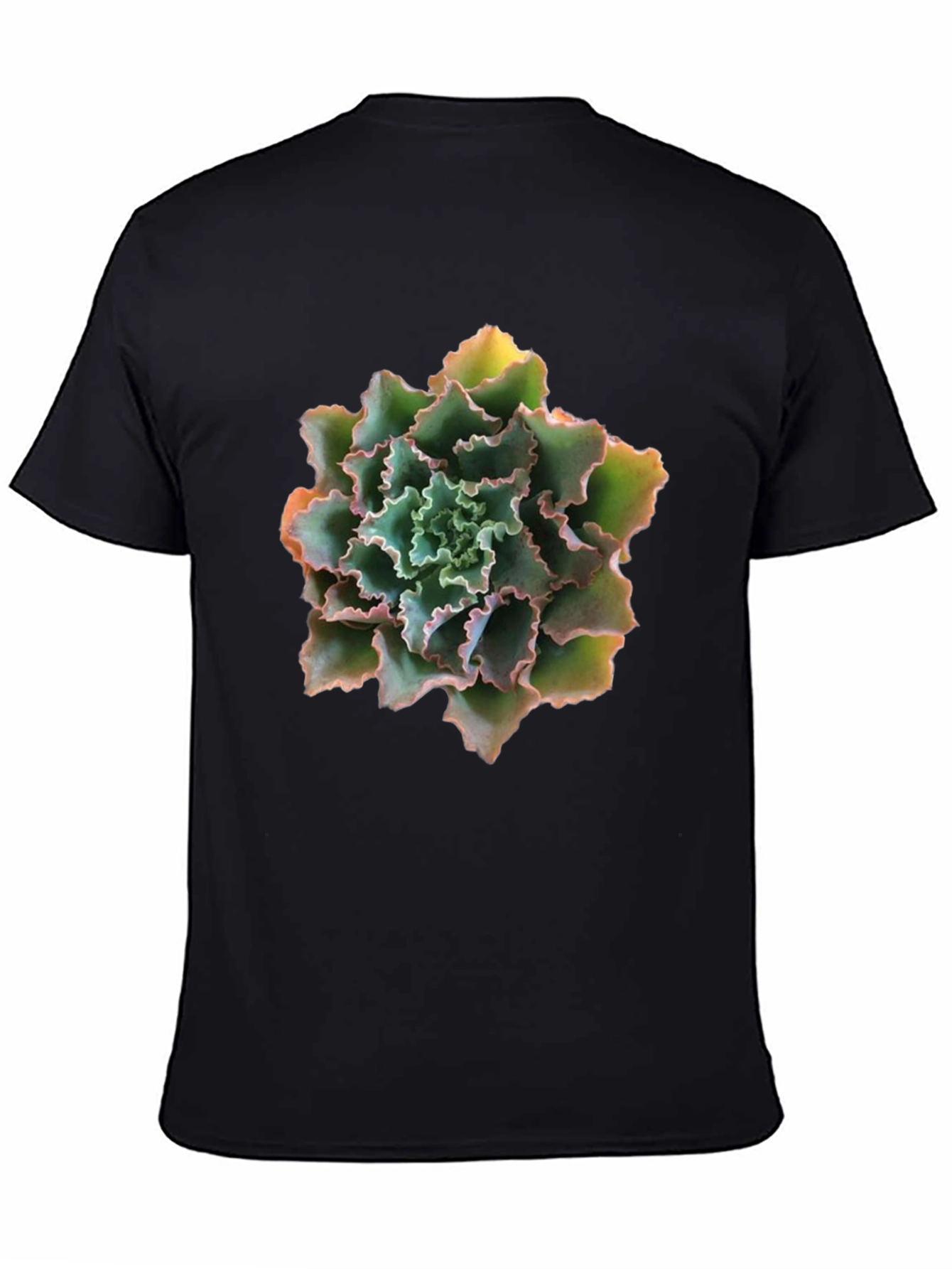 Succulent Graphic T-Shirt