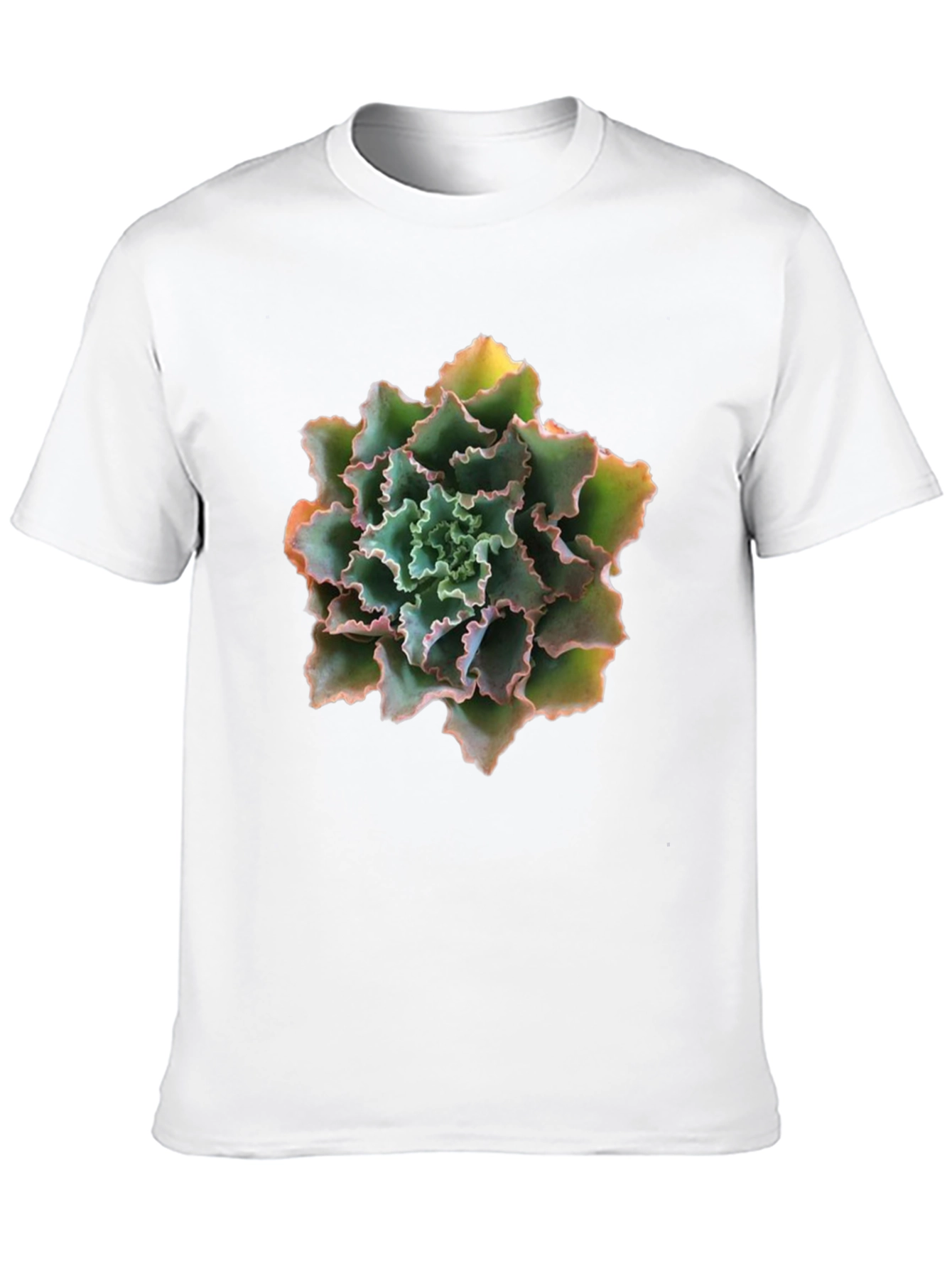 Succulent Graphic T-Shirt