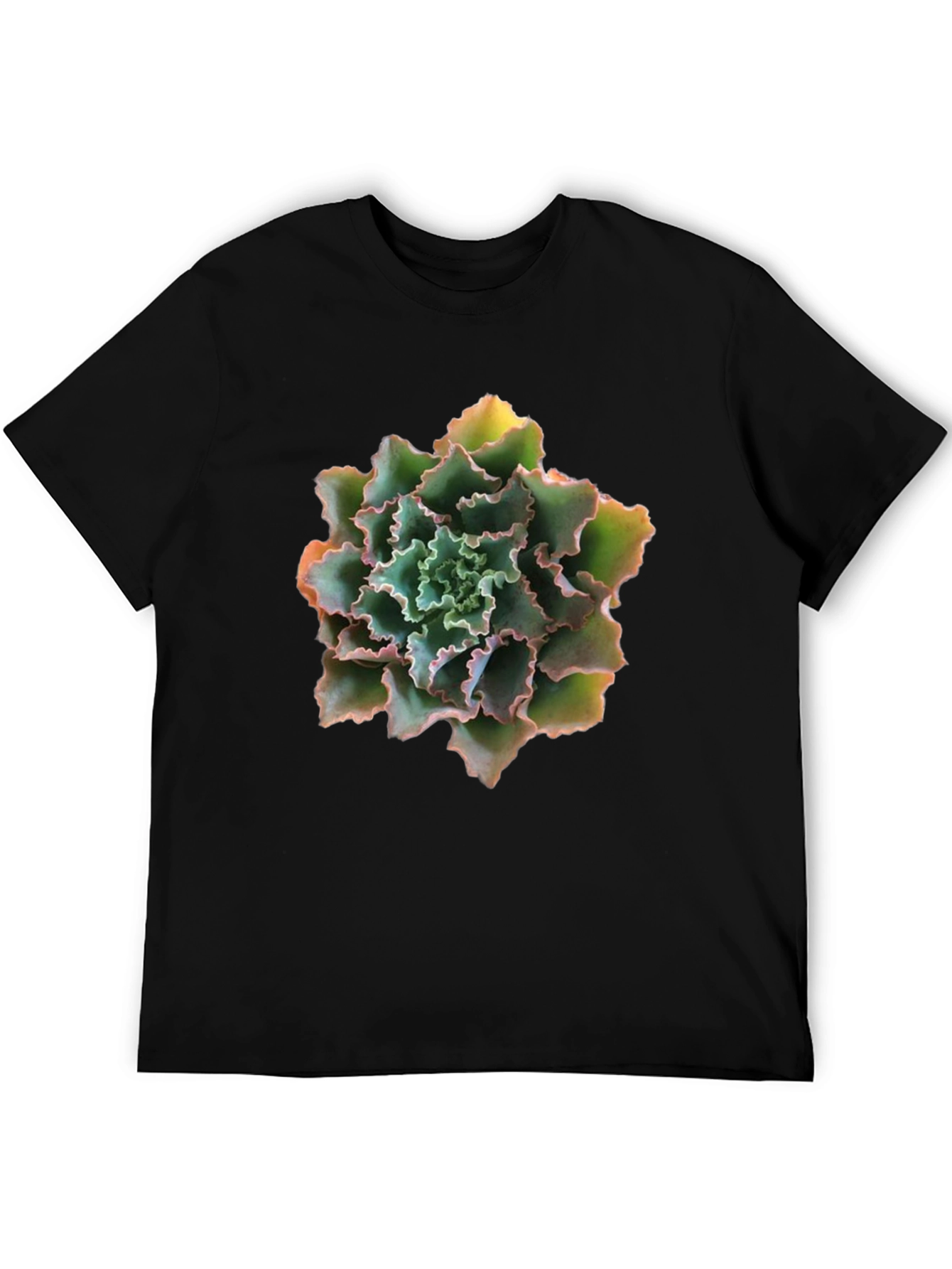 Succulent Graphic T-Shirt