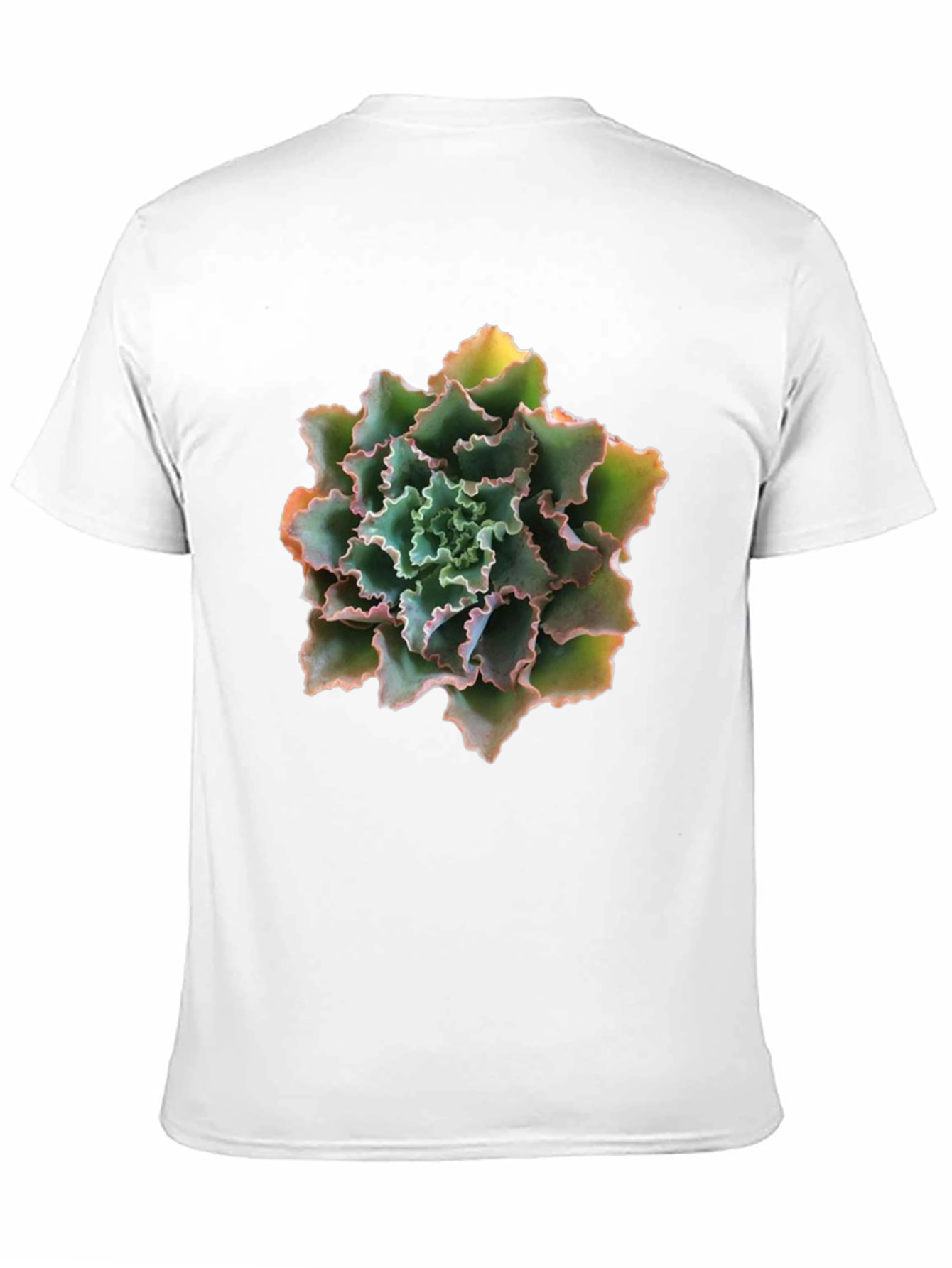 Succulent Graphic T-Shirt