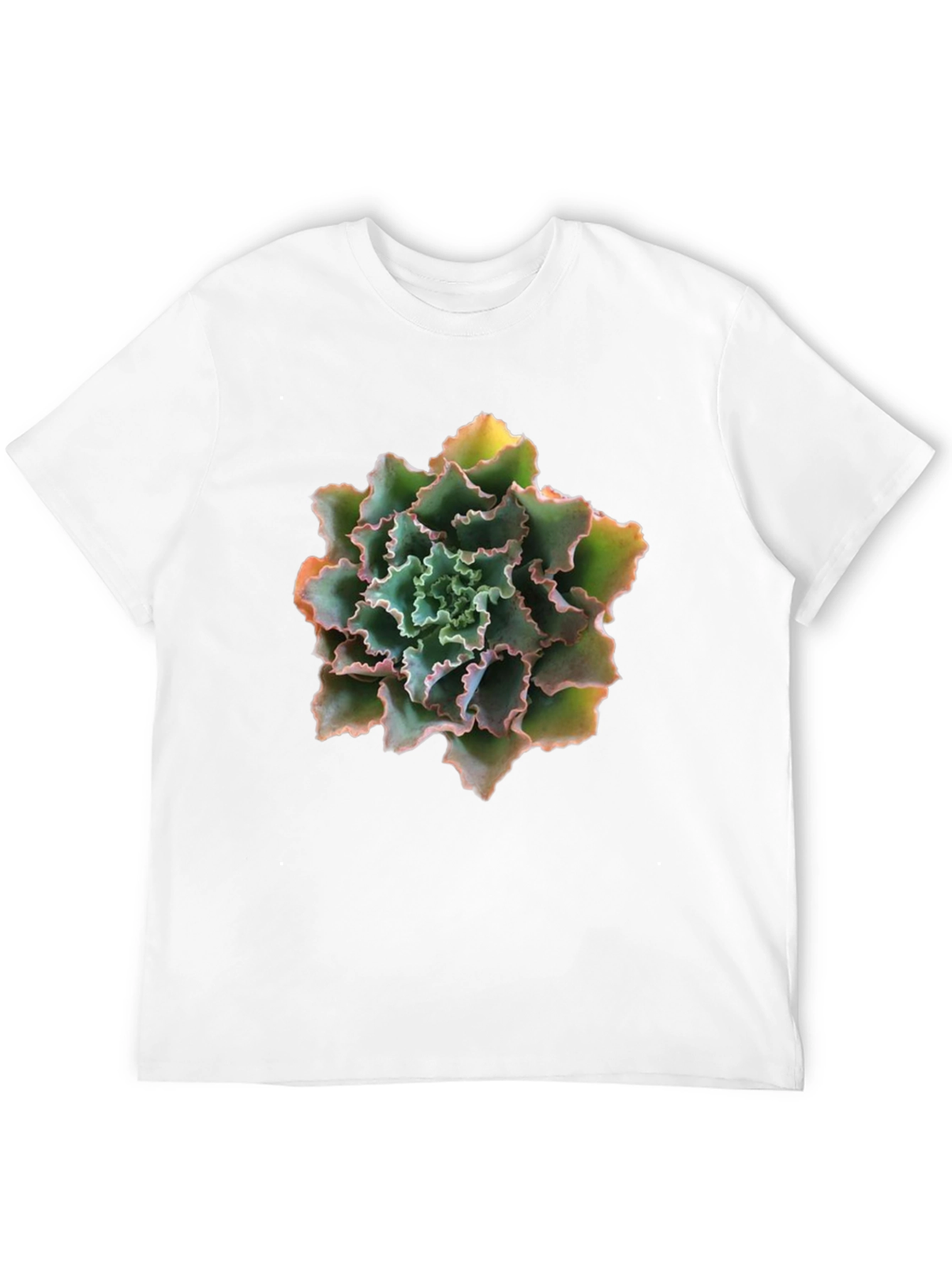 Succulent Graphic T-Shirt