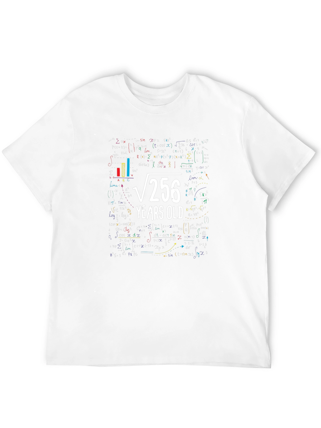 Math 16th Birthday T-Shirt - Root 256 Funny Tee