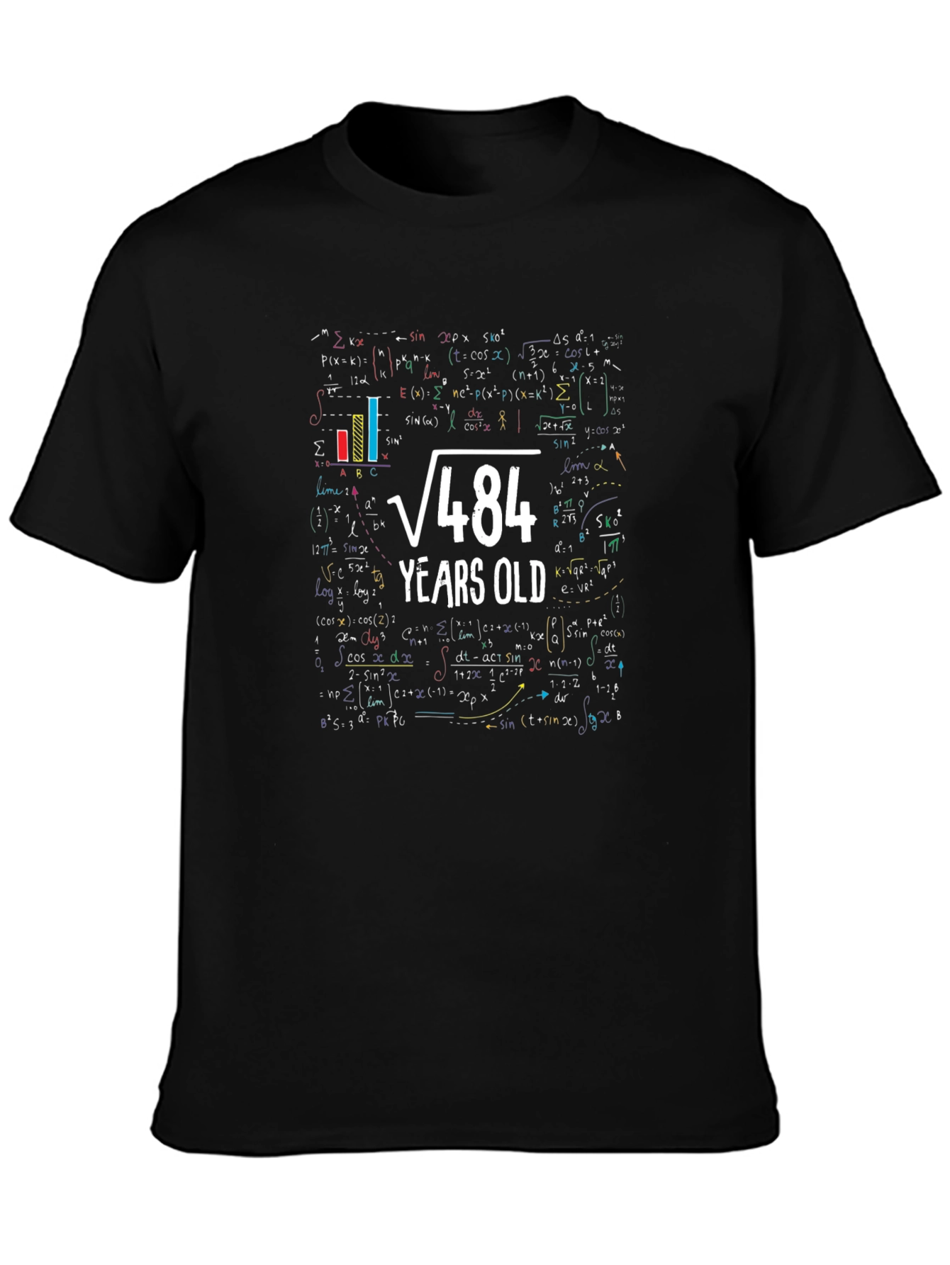 Math Formula 22 Years Old T-Shirt