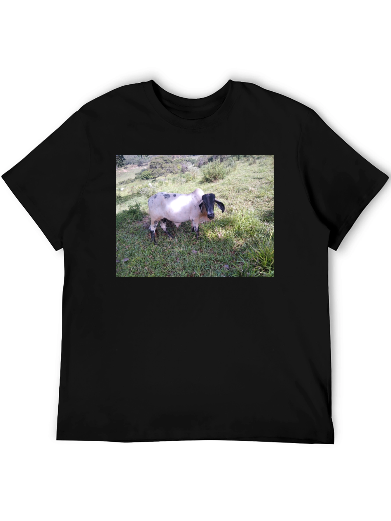 Unique Cow Graphic Black T-Shirt
