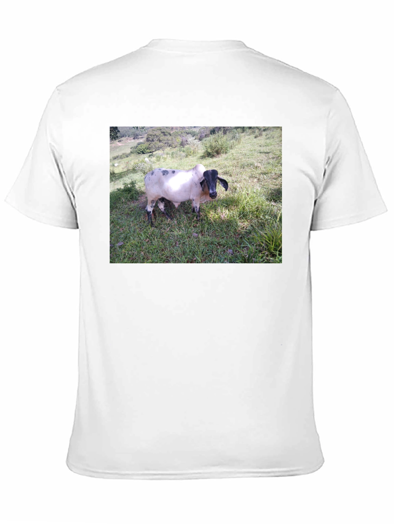 Unique Cow Graphic Black T-Shirt