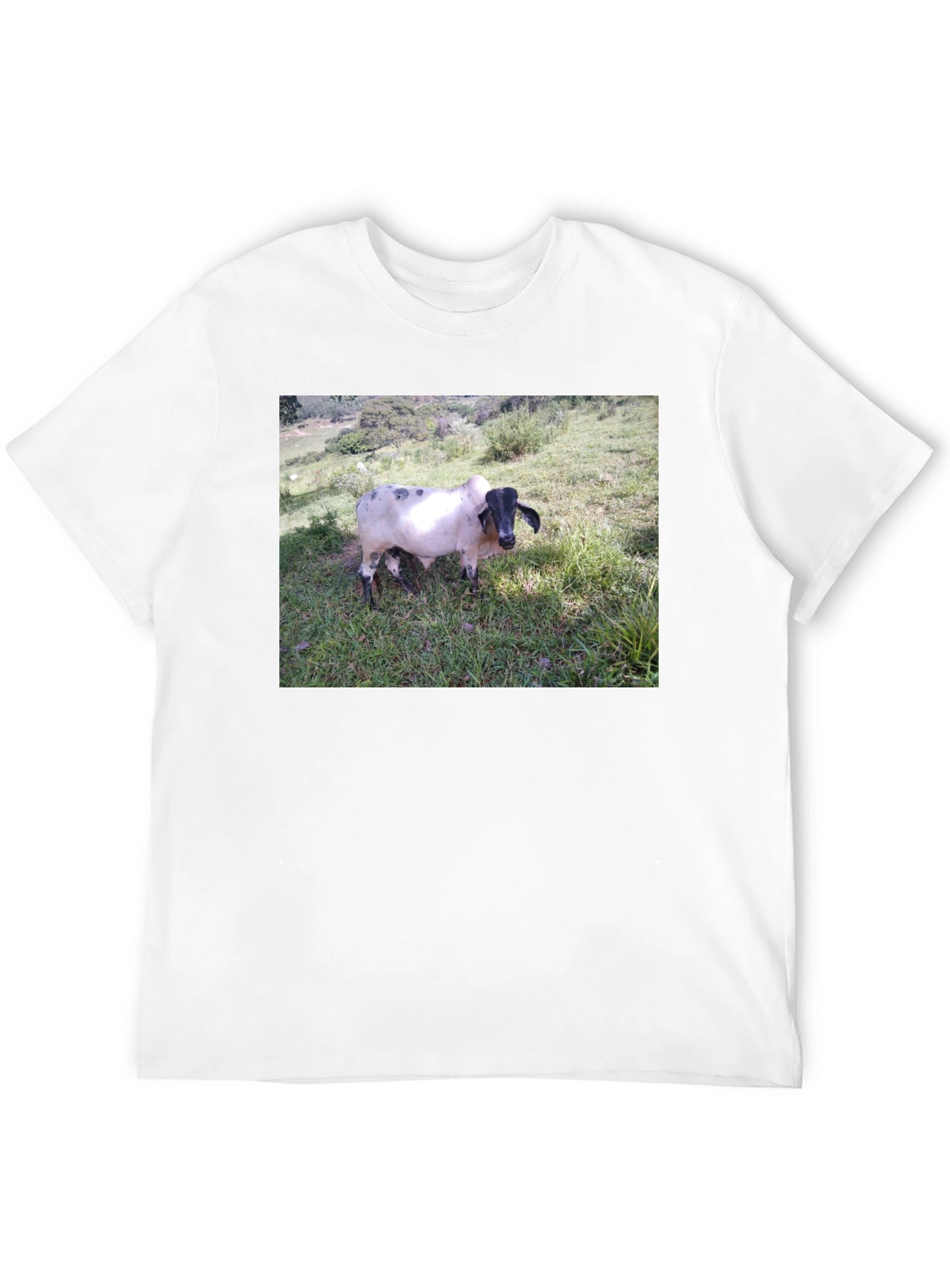 Unique Cow Graphic Black T-Shirt