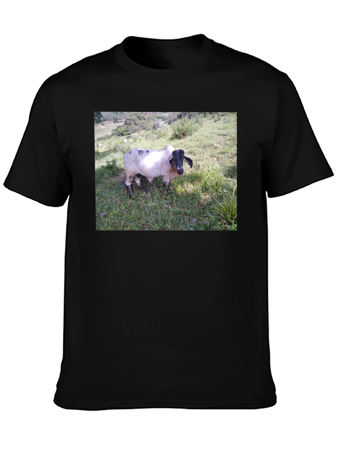 Unique Cow Graphic Black T-Shirt