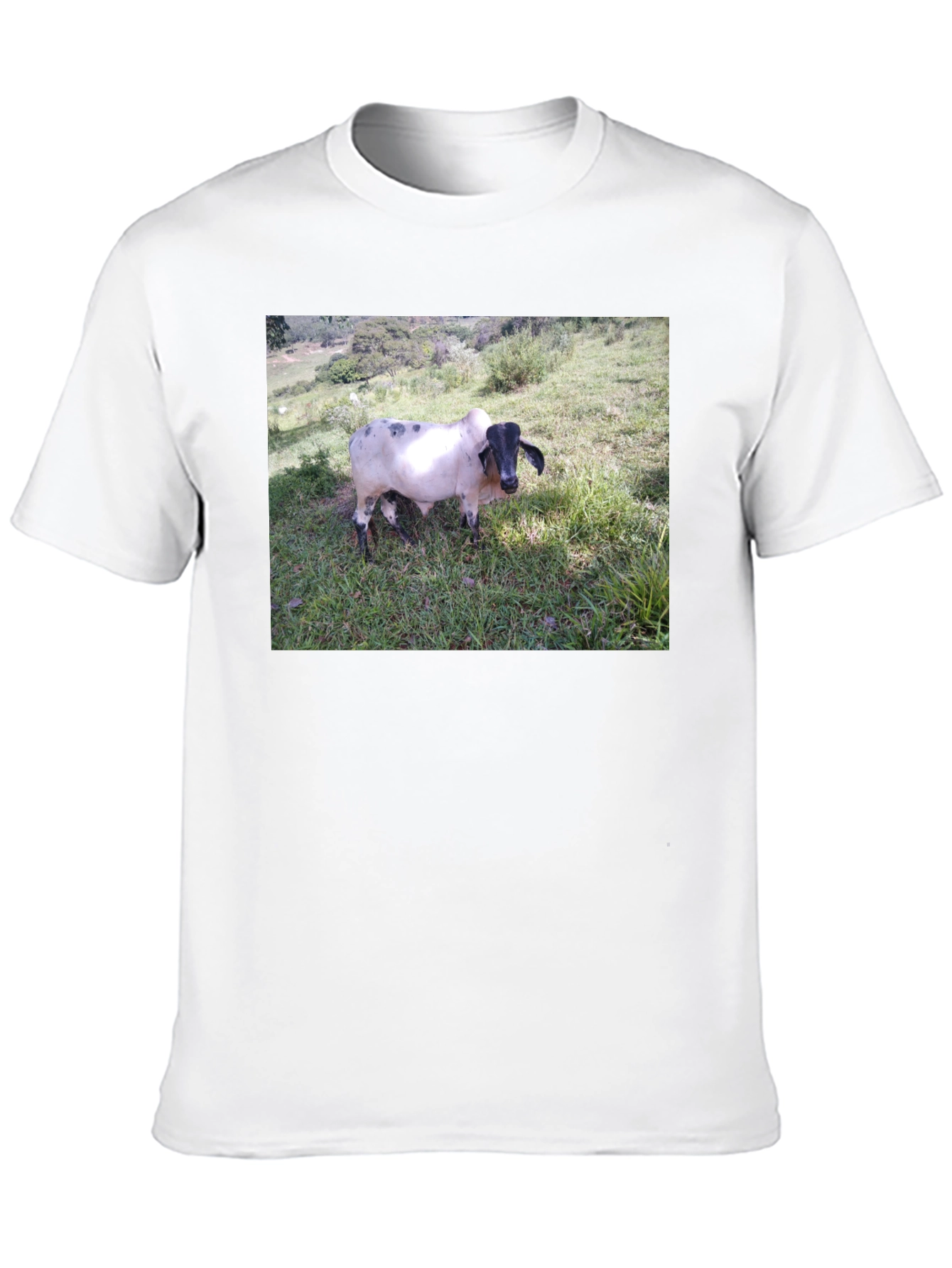 Unique Cow Graphic Black T-Shirt