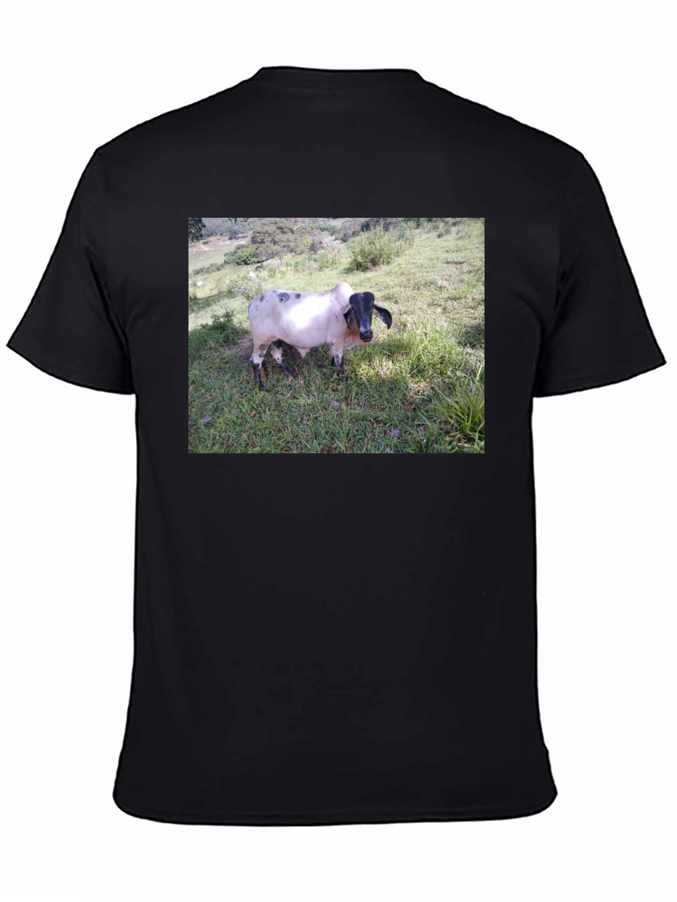 Unique Cow Graphic Black T-Shirt