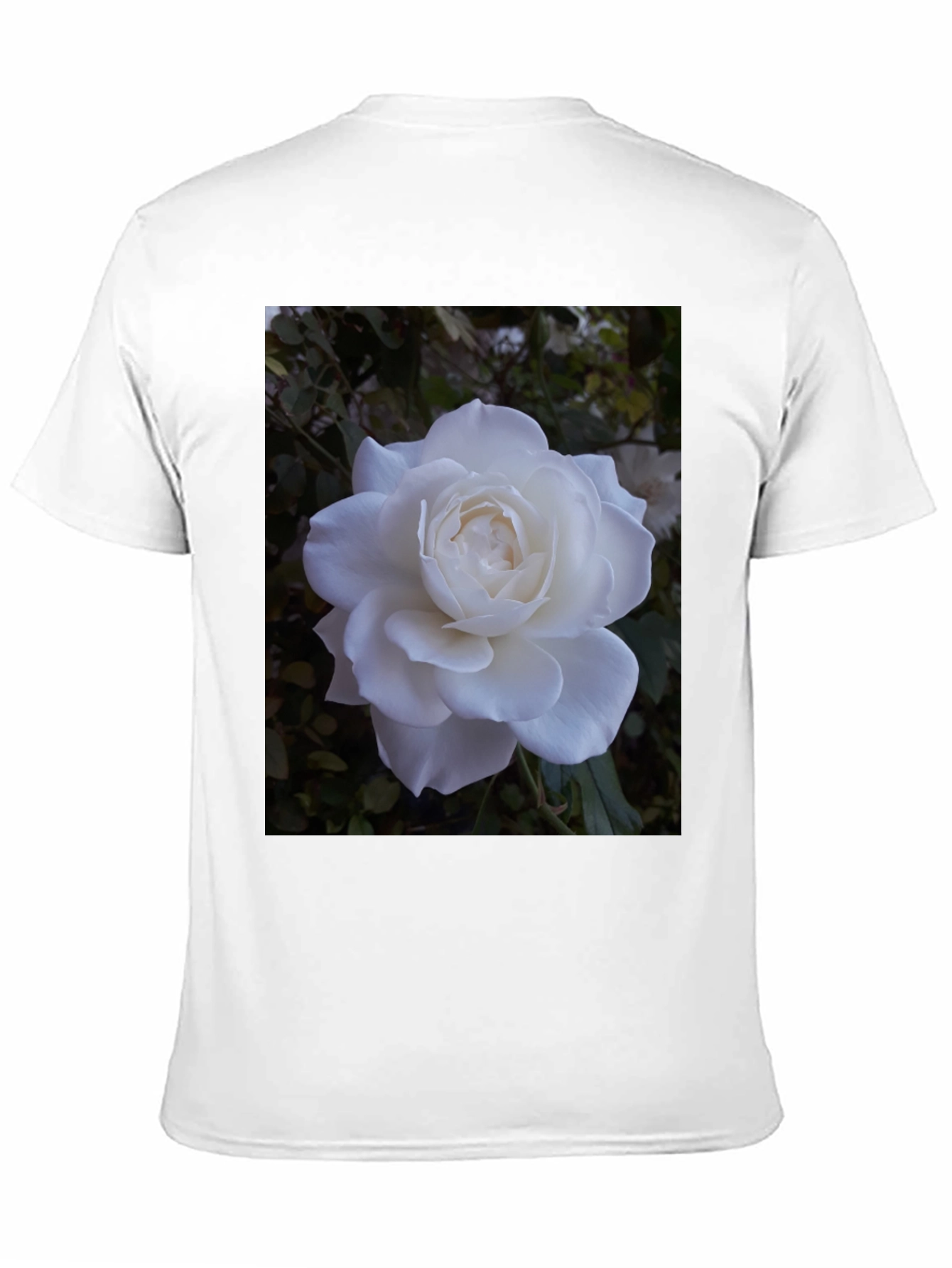 White Rose Graphic Black T-Shirt