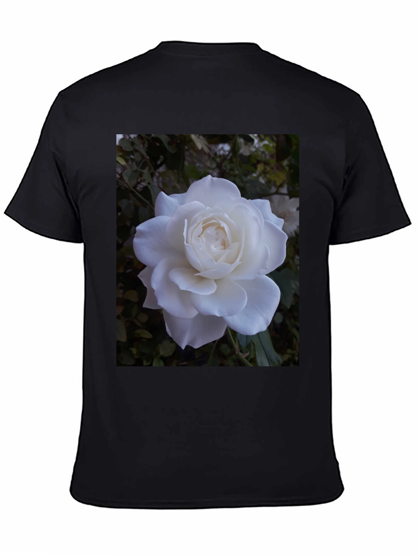 White Rose Graphic Black T-Shirt
