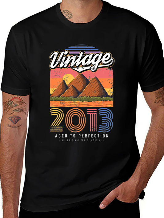 Vintage 2013 Aged to Perfection T-Shirt