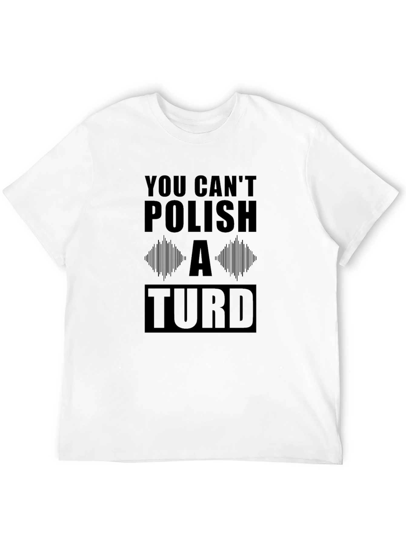 You Cant Polish a Turd Graphic T-Shirt
