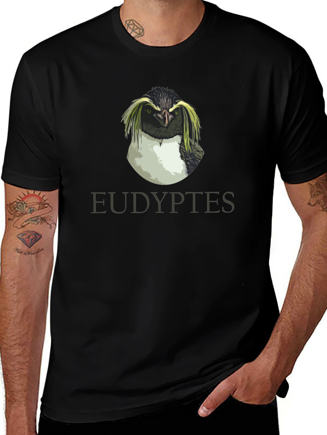 Eudyptes Penguin Graphic T-Shirt - Black