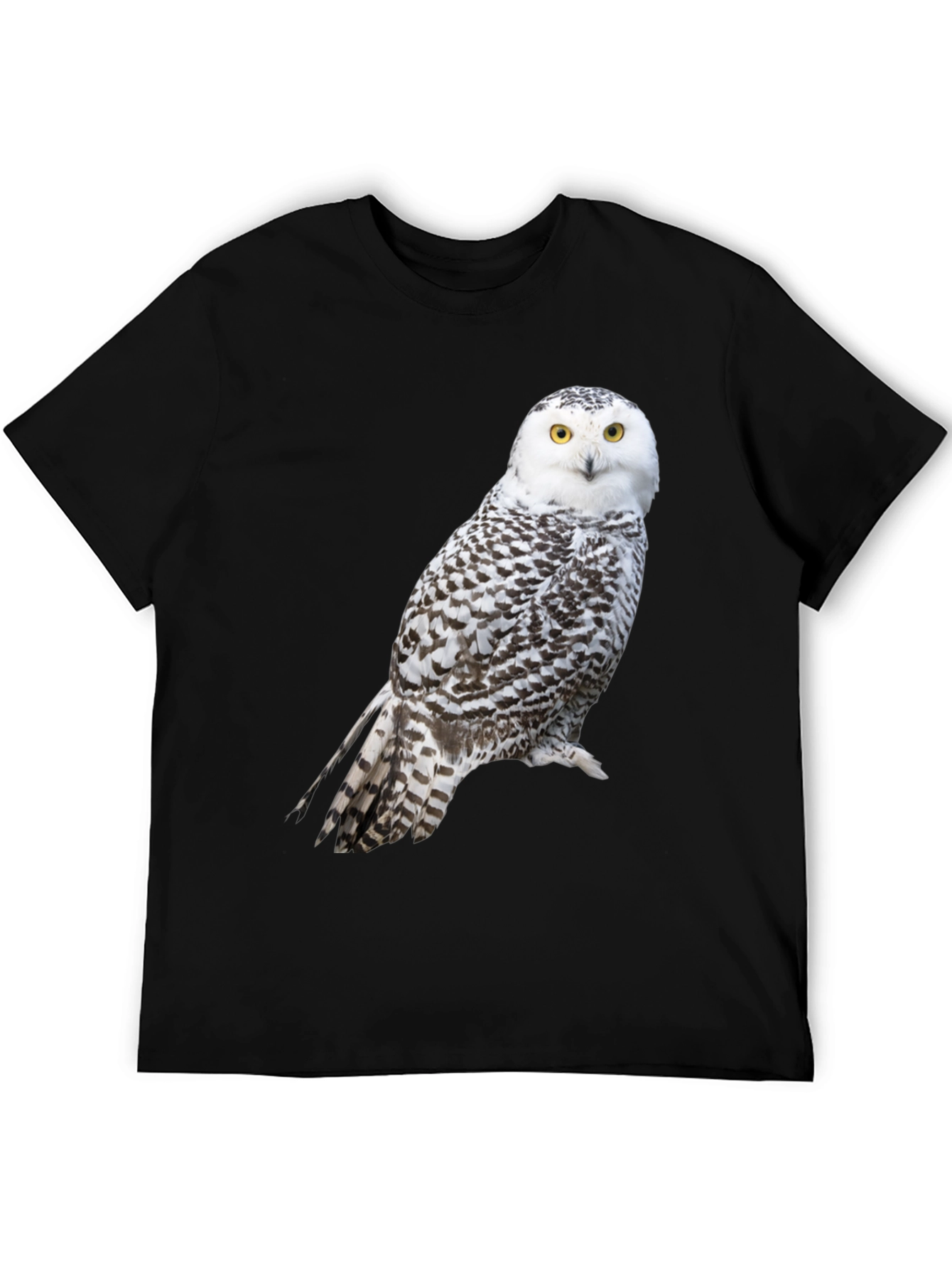Snowy Owl Graphic Tee - Unisex Black T-Shirt