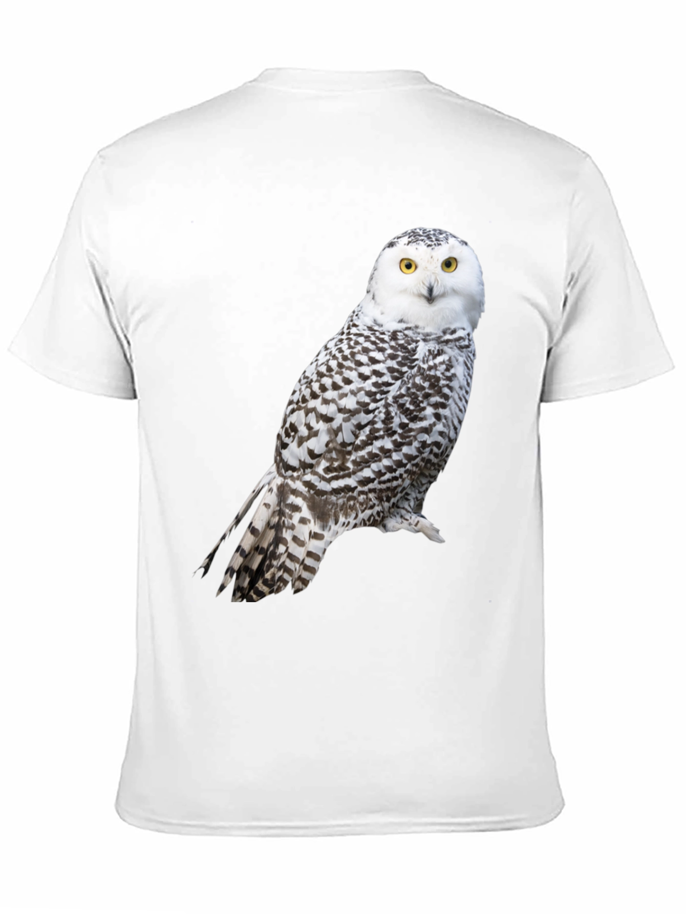 Snowy Owl Graphic Tee - Unisex Black T-Shirt