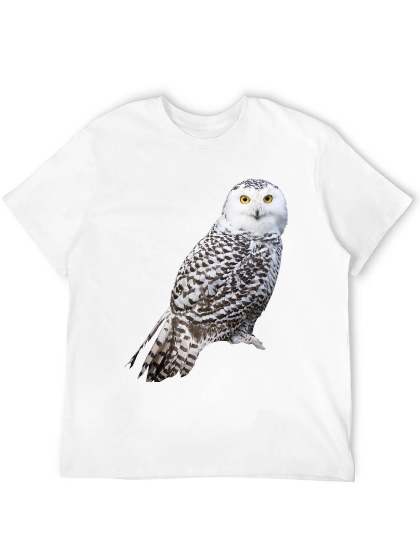 Snowy Owl Graphic Tee - Unisex Black T-Shirt