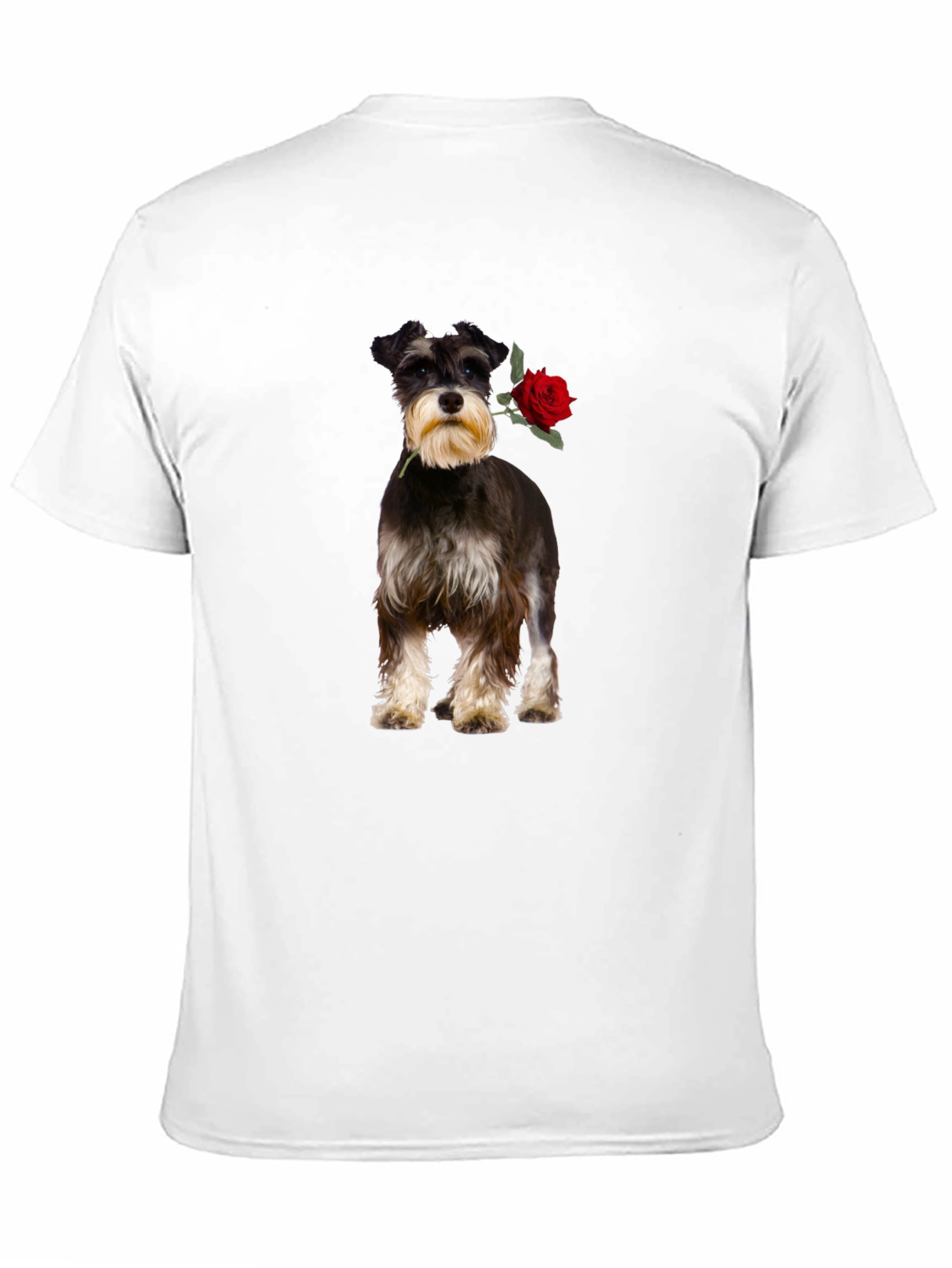 Schnauzer with Rose Graphic Tee