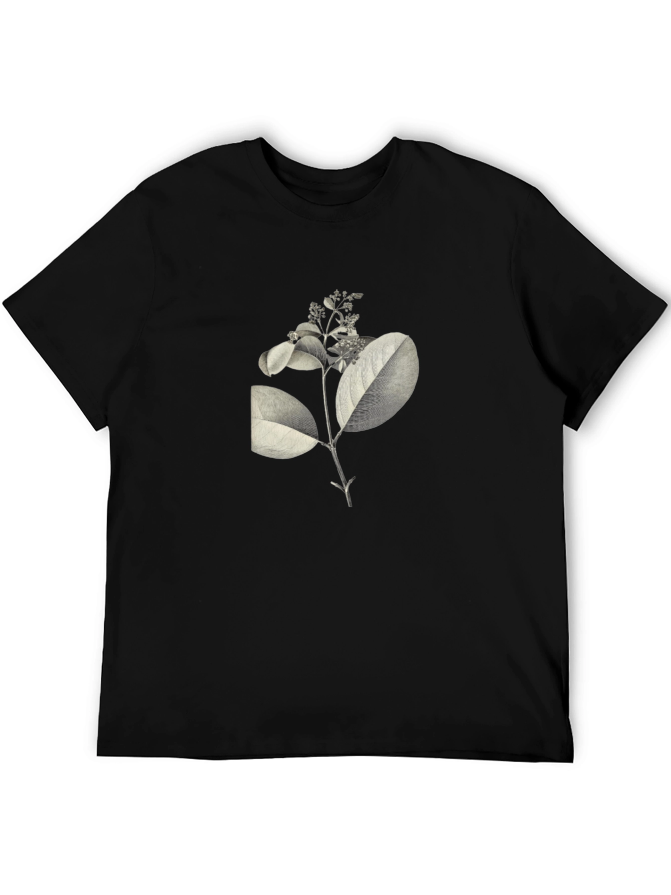 Botanical Print Black T-Shirt