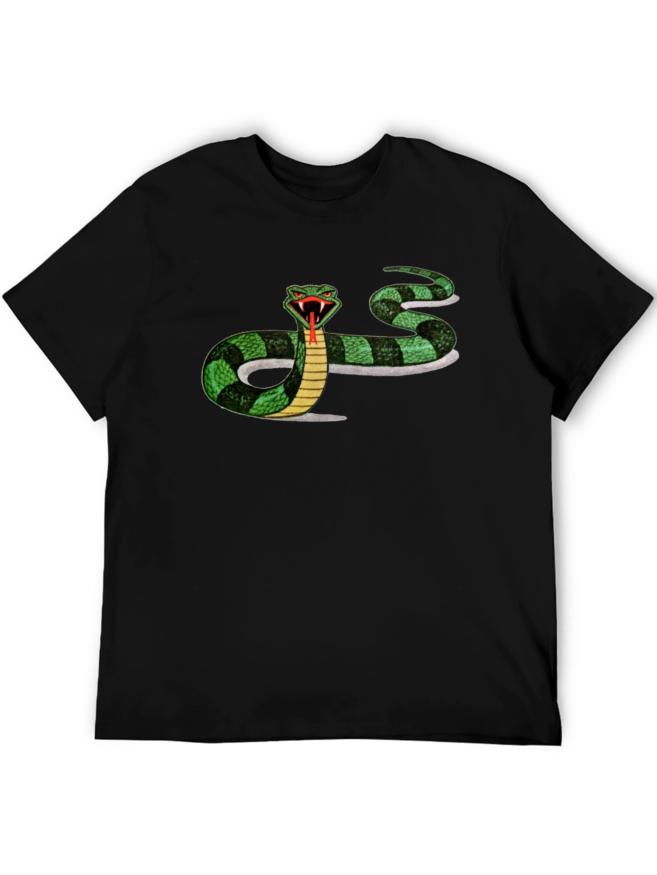 Mens Black T-shirt with Snake Graphic