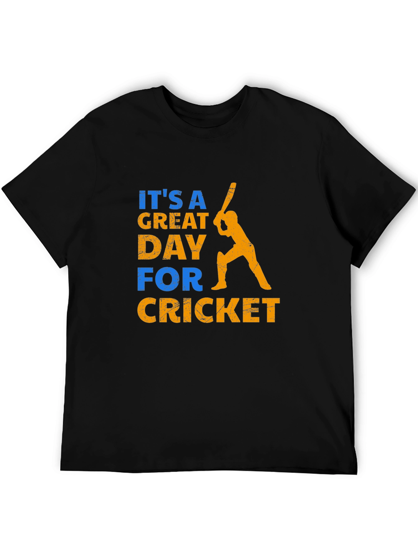 Its a Great Day for Cricket T-Shirt